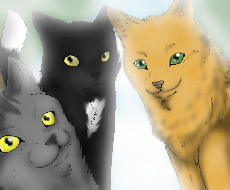 warrior_cats_by_looracake.png