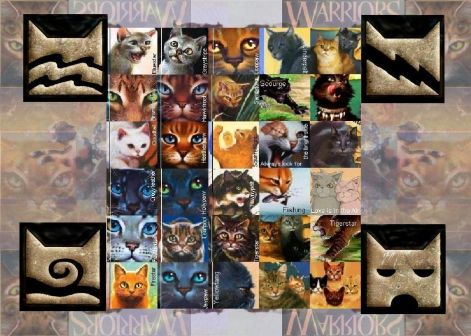 warriors-wallpaper-warrior-cat-16273029-1137-811.jpg